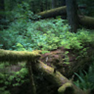 Meet your Posher, Eva